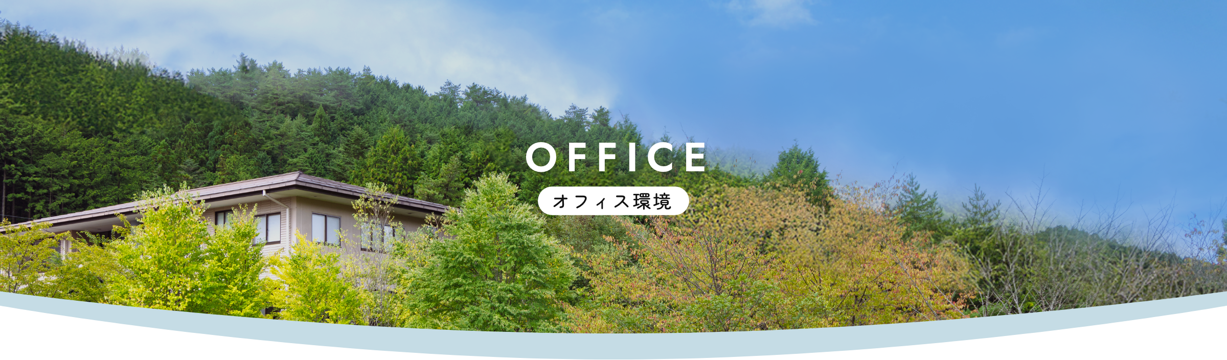 office 研修教育